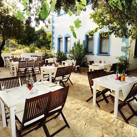 Hotel Kale
